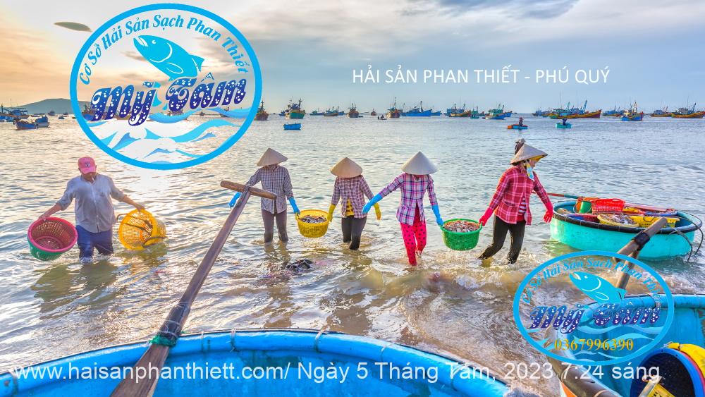 Hai San Phan Thiet